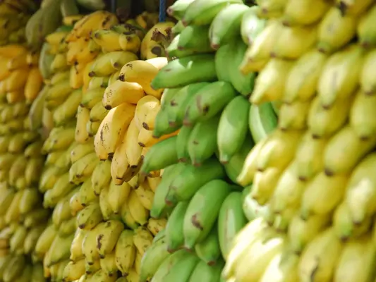 Bananen Pestizidbelastet Ökotest