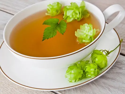 Hopfentee