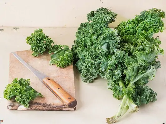 Grünkohl ist gesund