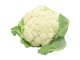 Blumenkohl