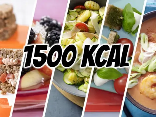 1500 Kcal-Tag-Blitzrezepte