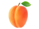 Aprikose
