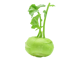 Kohlrabi