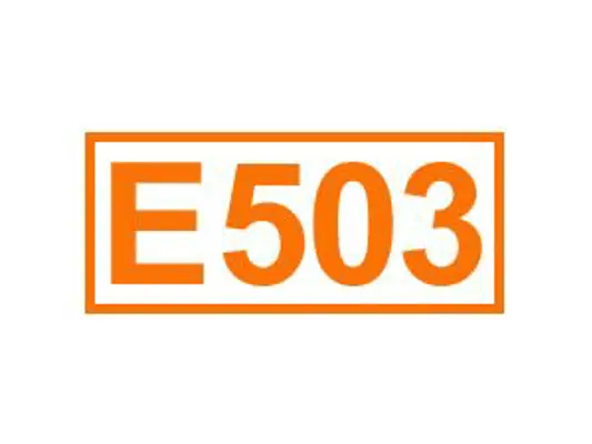 E 503 ein Backtriebmittel