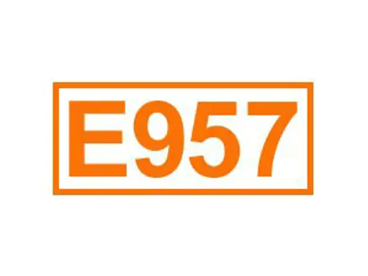 E 957 ein Geschmacksverstärker