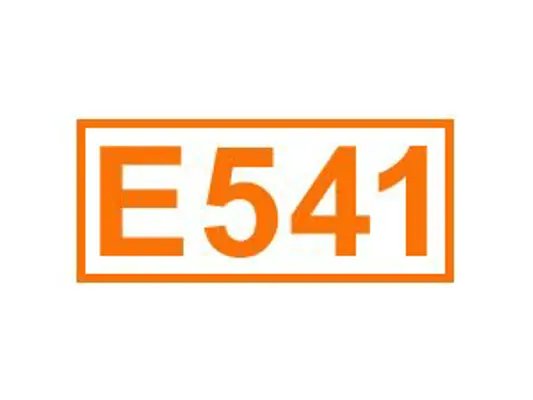 E 541 ein Backtriebmittel
