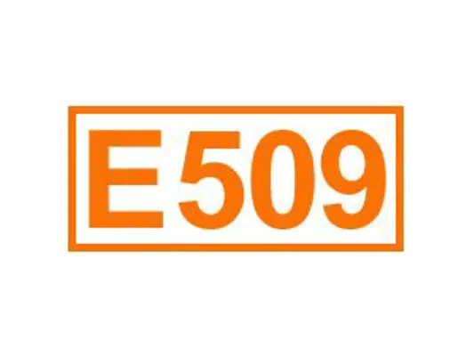 E 509 ein Festigungsmittel