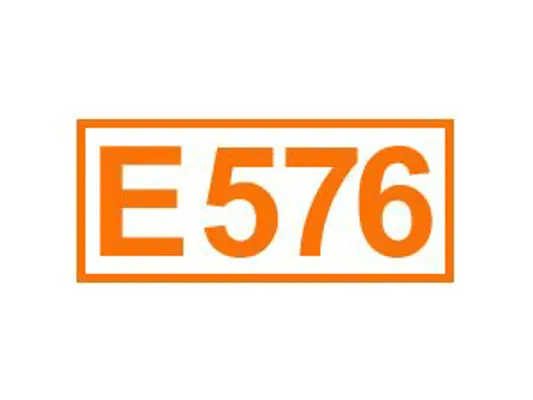 E 576 ein Stabilisator