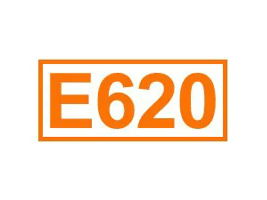 E 620 ein Geschmacksverstärker