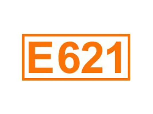 E 621 ein Geschmacksverstärker