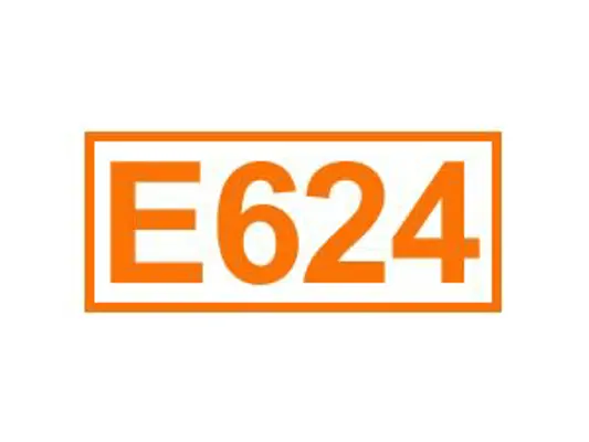 E 624 ein Geschmacksverstärker