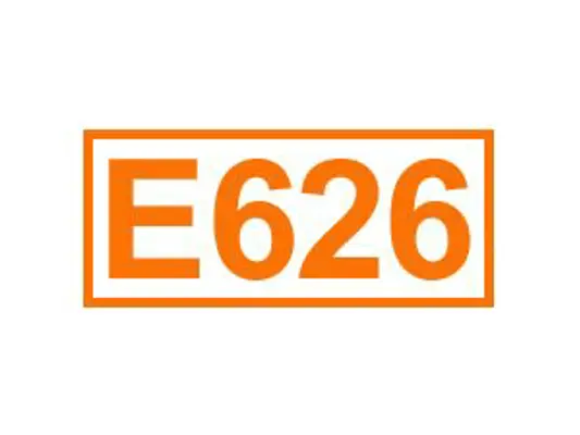 E 626 ein Geschmacksverstärker