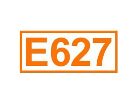 E 627 ein Geschmacksverstärker