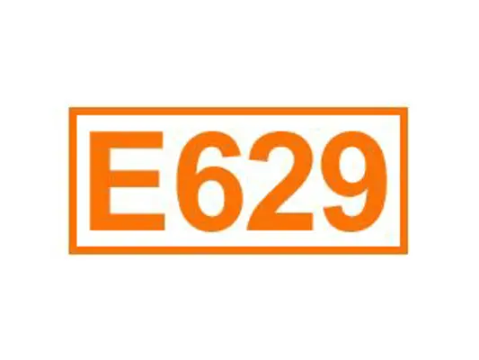 E 629 ein Geschmacksverstärker