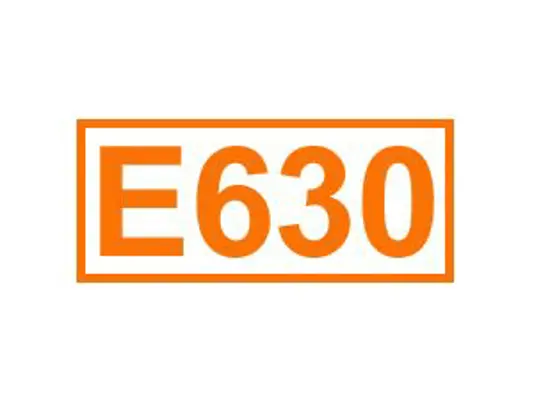 E 630 ein Geschmacksverstärker