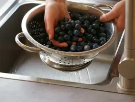 Tarte mit Blaubeeren Step 3: Blaubeeren waschen