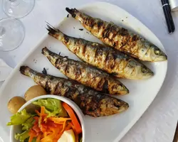 Gesunde Alternative: Fisch & Fleisch