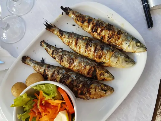 Gesunde Alternative: Fisch & Fleisch