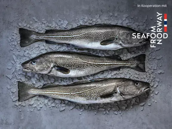 Partnerrezepte von Seafood from Norway