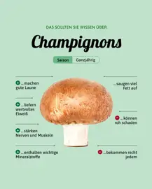 Champignons