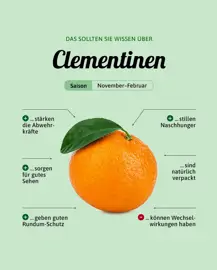 Clementinen