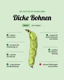 Dicke Bohnen