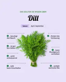 Dill