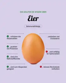 Eier