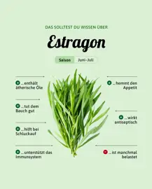 Estragon