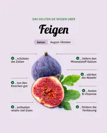 Feigen