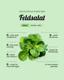 Feldsalat