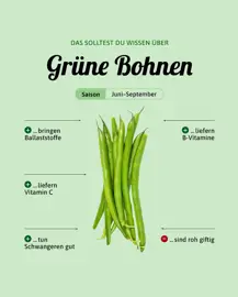 Grüne Bohnen