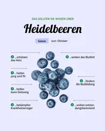 Heidelbeeren