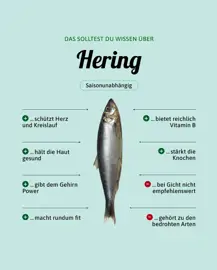 Hering