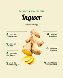 Ingwer