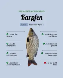 Karpfen