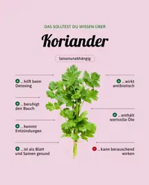 Koriander