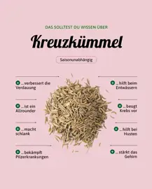 Kreuzkümmel