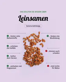 Leinsamen