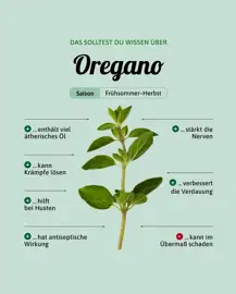 Oregano
