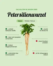 Petersilienwurzel