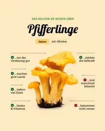 Pfifferlinge