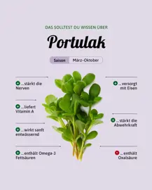 Portulak