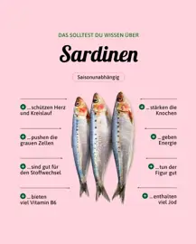 Sardinen