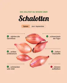 Schalotten