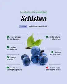 Schlehen