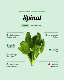Spinat