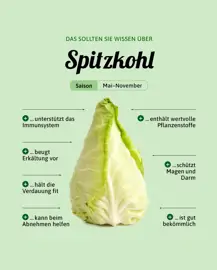 Spitzkohl