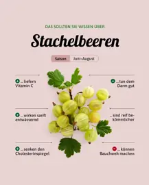Stachelbeeren