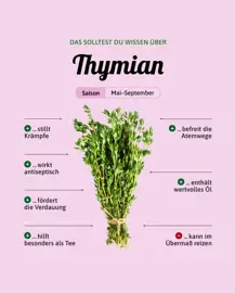 Thymian